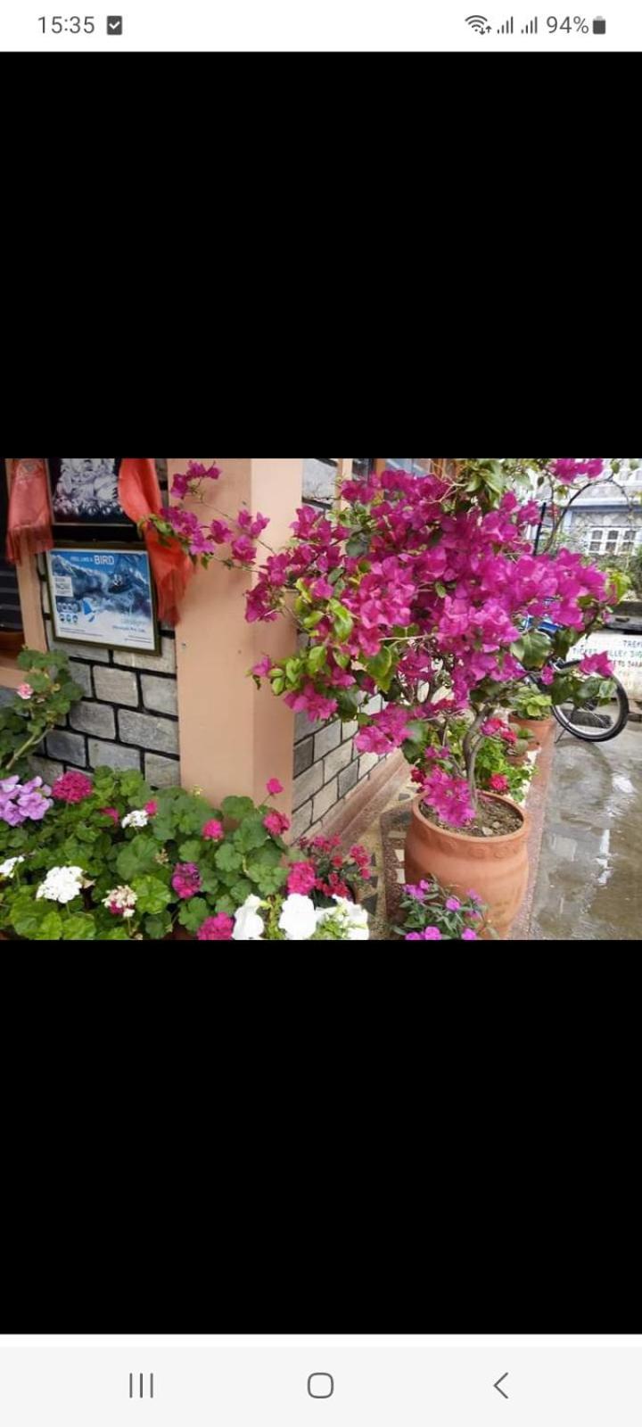 Galaxy Inn Guest House Pokhara Luaran gambar
